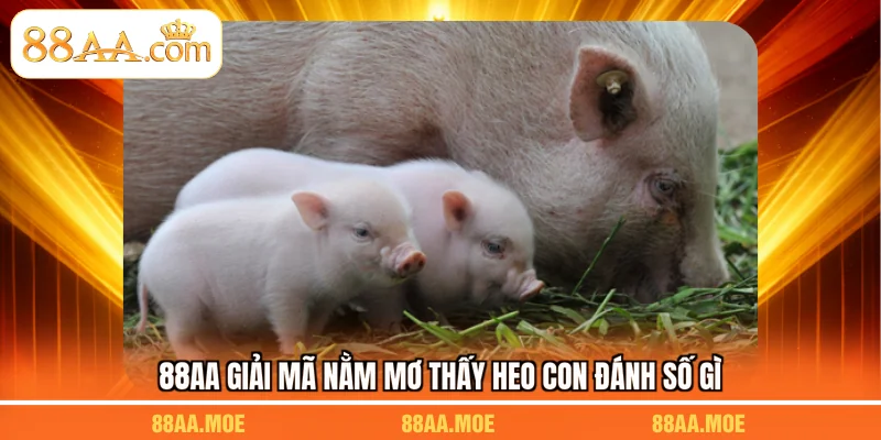 88AA giải mã nằm mơ thấy heo con đánh số gì