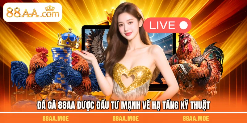 Đá gà 88AA được đầu tư mạnh về hạ tầng kỹ thuật