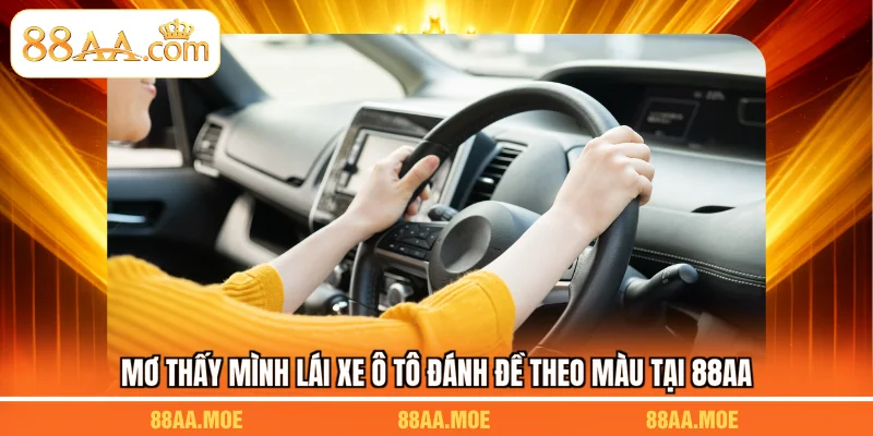 Mơ thấy mình lái xe ô tô đánh đề theo màu tại 88AA